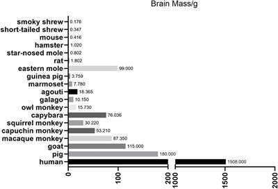 Application of CRISPR/Cas9 System in Establishing Large Animal Models